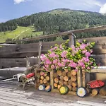 شاليه Huettentraum Katschberg