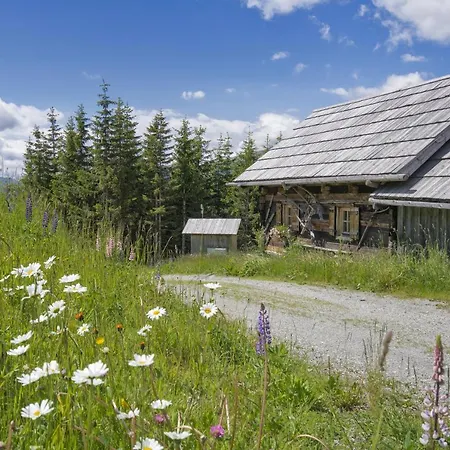 Huettentraum Katschberg Dağ evi *