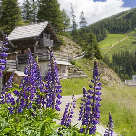 シャレー Huettentraum Katschberg