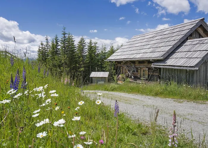 Huettentraum Katschberg 木屋 *